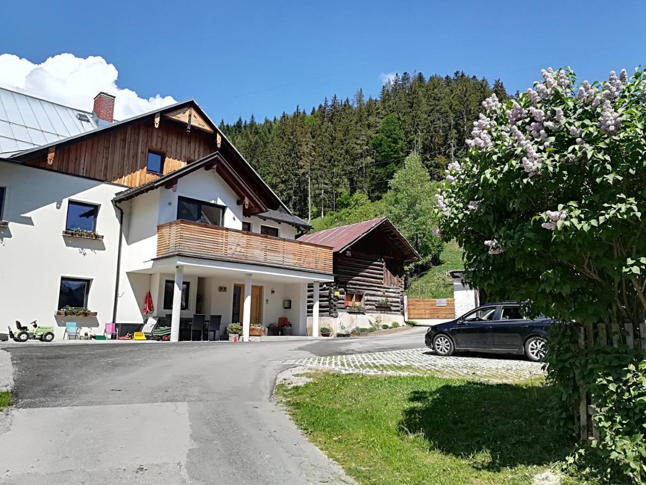 Appartement Grosswallner Radstadt Dış mekan fotoğraf